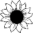 tournesol